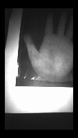 yolo-detect-202412 project thumbnail
