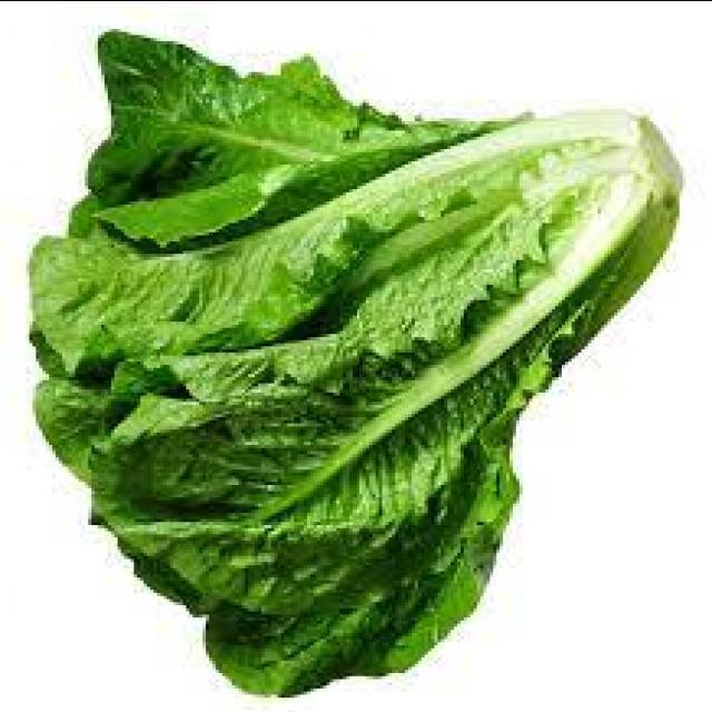 Lettuce Disease Object Detection Dataset and PreTrained Model by CV