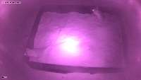 Gerbil project thumbnail