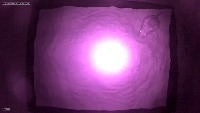 GerbilSex project thumbnail