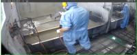PPE Detection project thumbnail