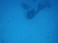 wreck project thumbnail