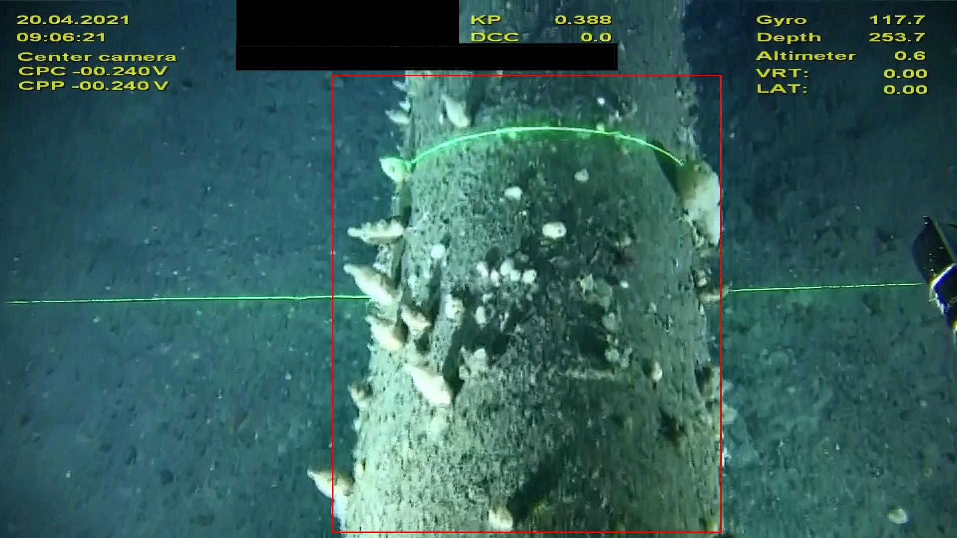 Test Object Detection Dataset And Pre Trained Model By Production