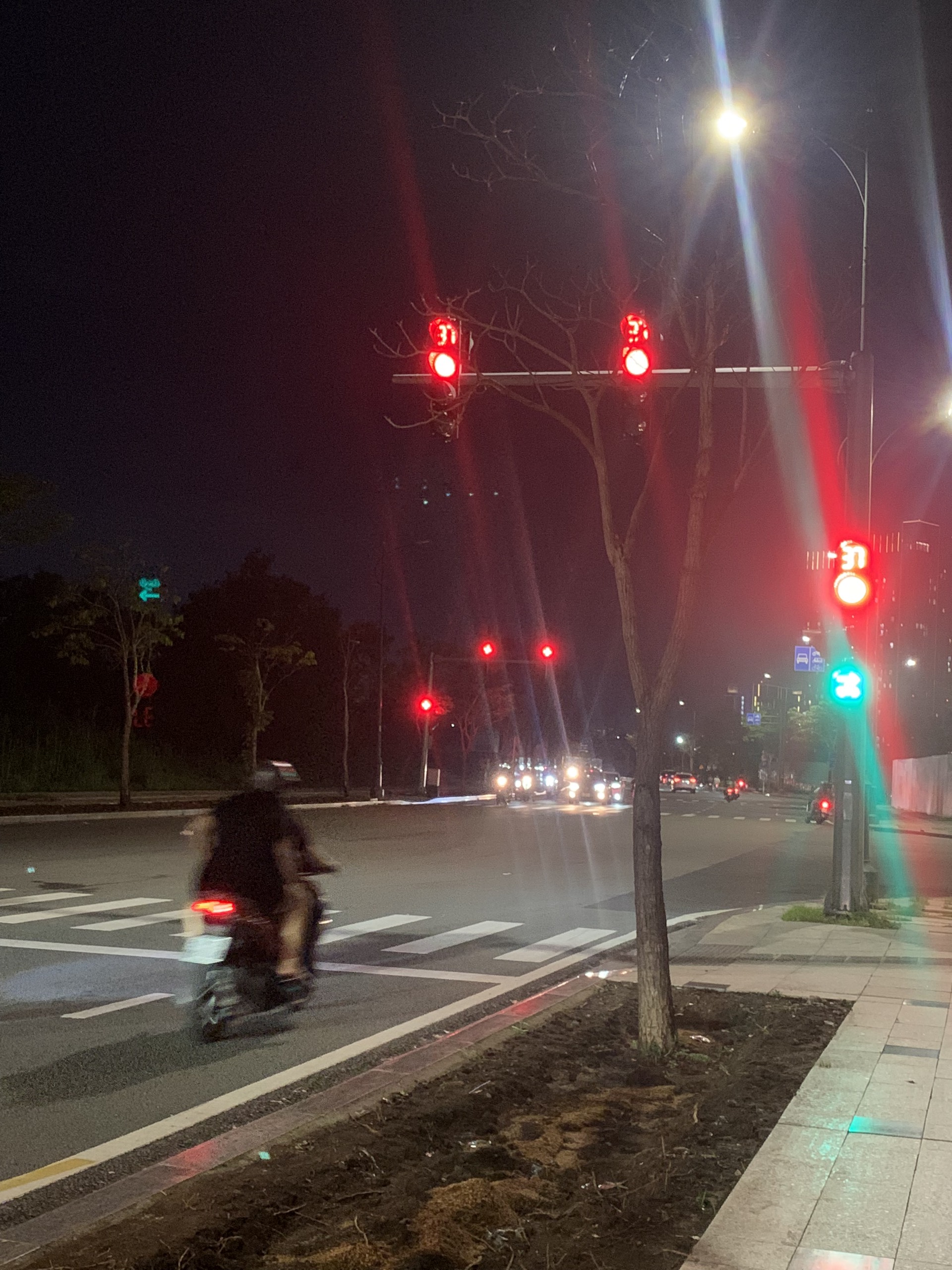 trafficviolationdetection Object Detection Dataset by object detection