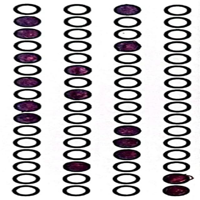 project Object Detection Model by Azamatjon Dehqonov