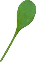 leaf-defect-1 project thumbnail