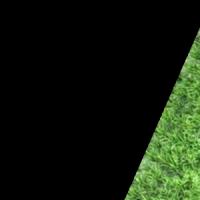 coba warna daun project thumbnail