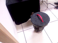 Dataset Image