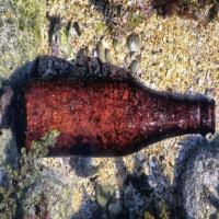 Trash detection in water project thumbnail
