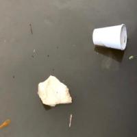 Waste in water project thumbnail