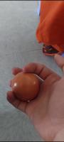 More_Egg project thumbnail
