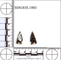 basal-notched-all project thumbnail