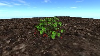Davis_Ag_Single_Strawberry project thumbnail