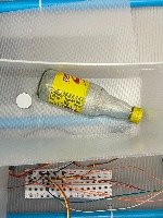 bottle project thumbnail