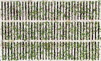 rafts-day-7-5-23-full-cropped project thumbnail