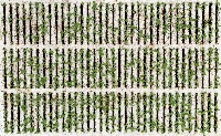 rafts-day-7-5-23-full-cropped-d project thumbnail