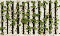 rafts-day-8-5-24-full-cropped-c 3x3 project thumbnail