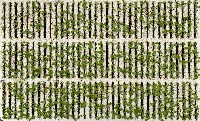 rafts-day-8-5-24-full-cropped-c project thumbnail