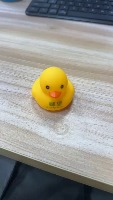 duck project thumbnail