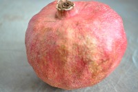 fruit-detector project thumbnail