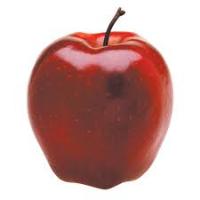 Manzana project thumbnail