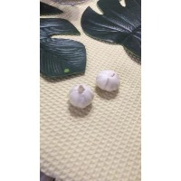 Garlic-Segmentation project thumbnail