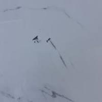 detector project thumbnail