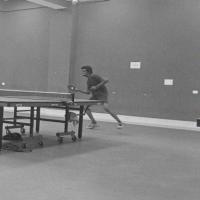table-tennis-stroke-cv-fold2-corr project thumbnail