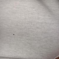 fabric_defect_v2 project thumbnail