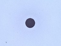 circle project thumbnail
