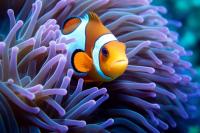 marine life project thumbnail