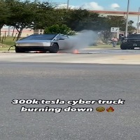 Electric vehicle fires project thumbnail