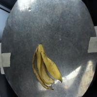 Find bananapeels project thumbnail