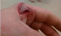 cut project thumbnail