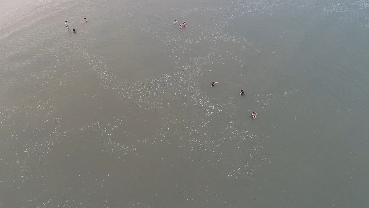 person swimming Object Detection Model by handsegment
