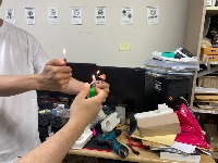 Dataset Image