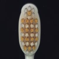 toothbrush project thumbnail