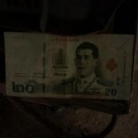 detection project thumbnail