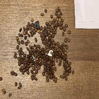 coffee bean impurity detection project thumbnail