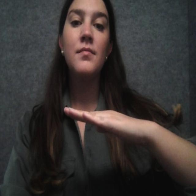 Test rock paper scissor Instance Segmentation Dataset by Imgclassification