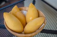 mango ripe or not ripe project thumbnail
