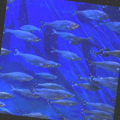 example Object Detection Dataset and Pre-Trained Model by SKKU