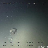 deep trash (All) project thumbnail