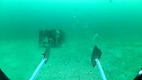 LionFish project thumbnail