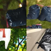 Plastic Bags project thumbnail
