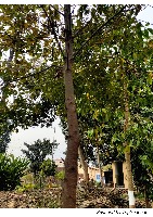 ANNOTATION 10 project thumbnail