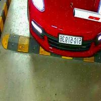 Dataset Image