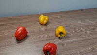 Dataset Image