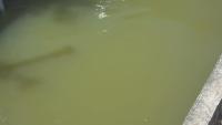 floating matters project thumbnail