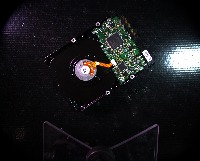 Dataset Image